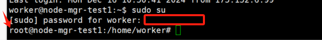 root